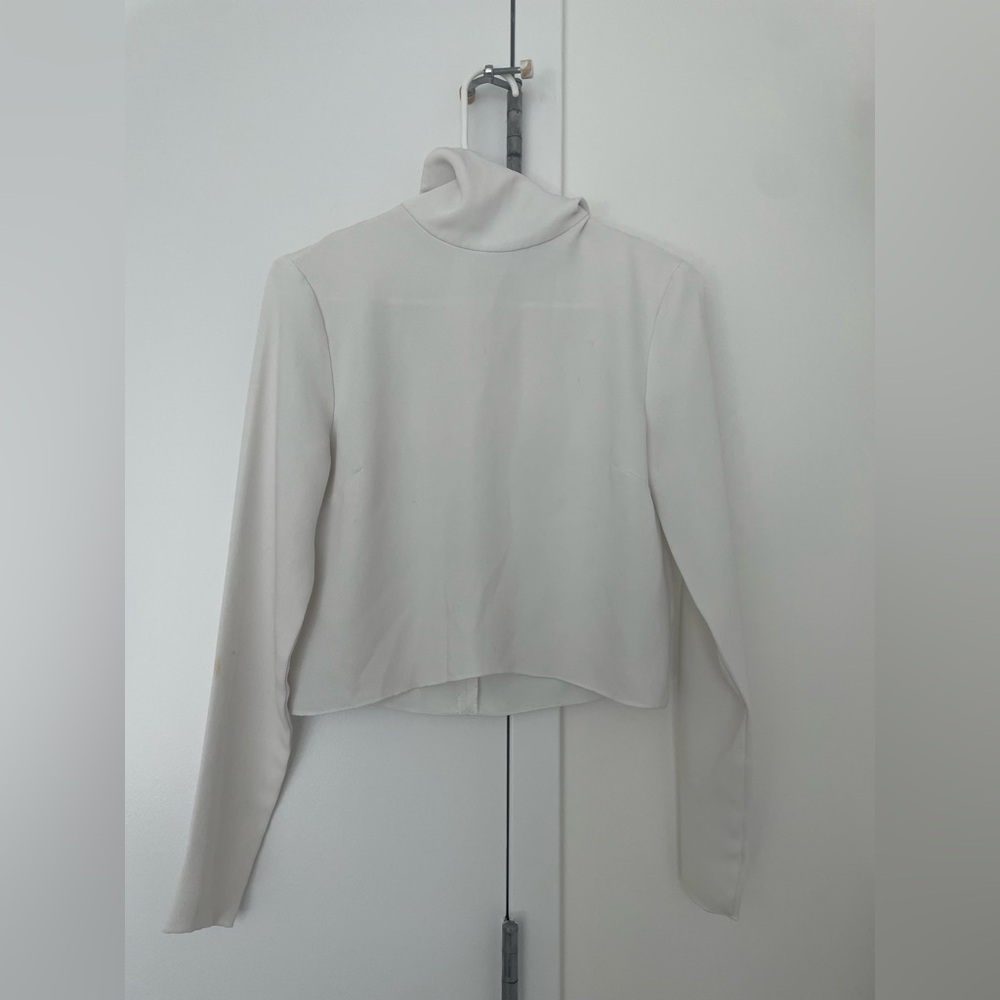 Aritzia turtle neck blouse